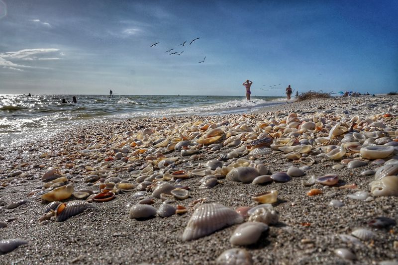 Bowman’s Beach