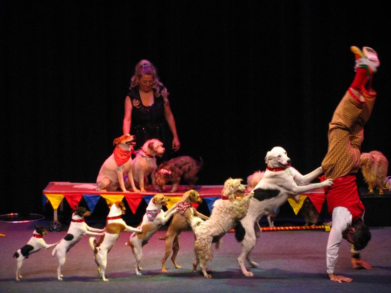 Willow Theatre and Community Center