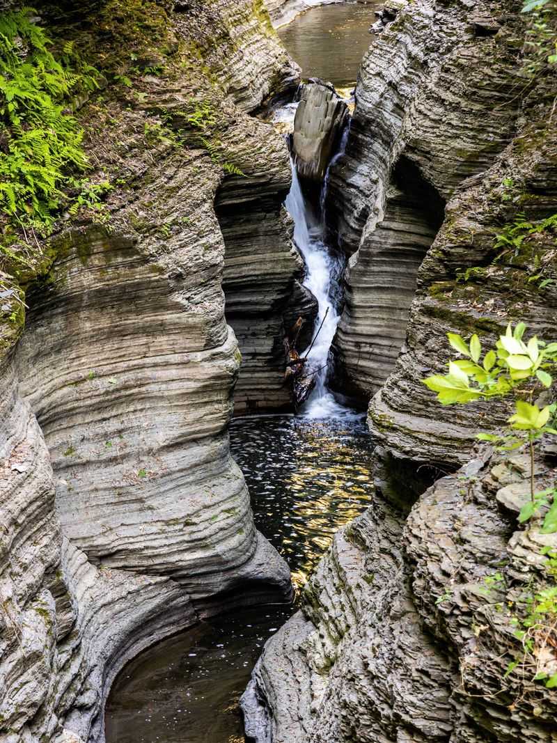 Sentry Bridge Sunrise Lookout