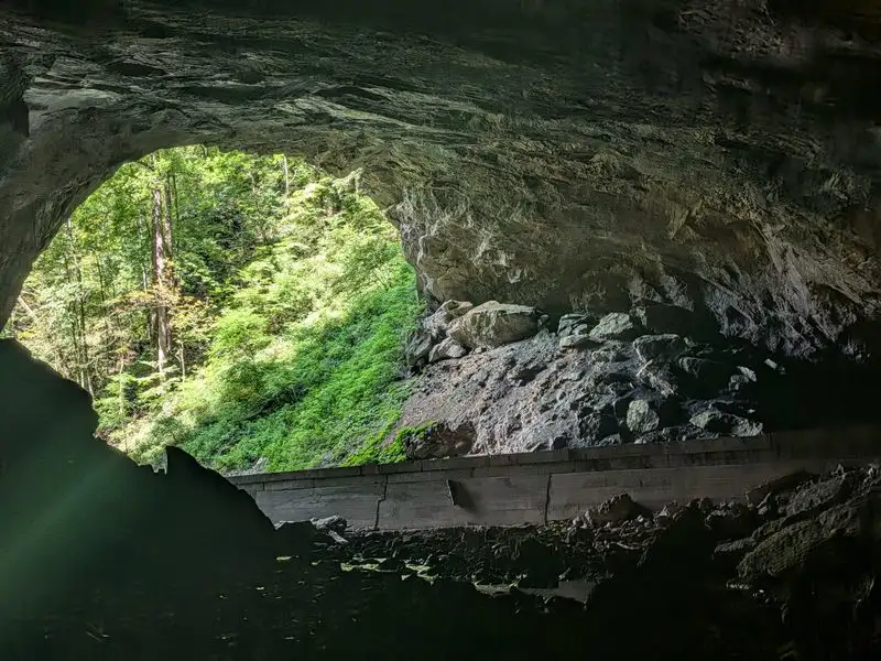 Old Homestead Stone Ruins