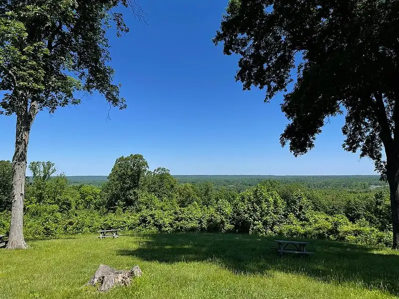 Cozy Cabin Getaway Under the Pines