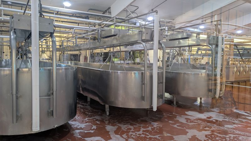 The Art of Cheese-Making