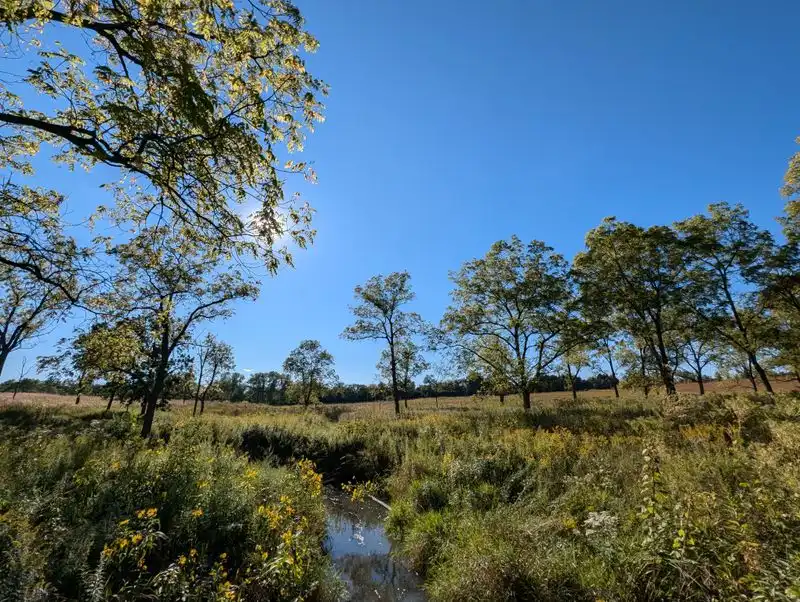 Strolling the Schulenberg Prairie