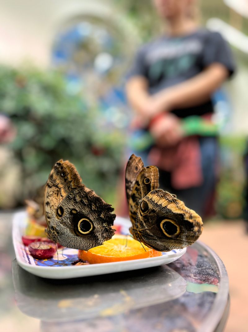 Photography Tips Inside Humidity