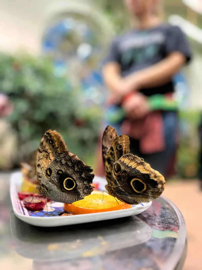 Photography Tips Inside Humidity