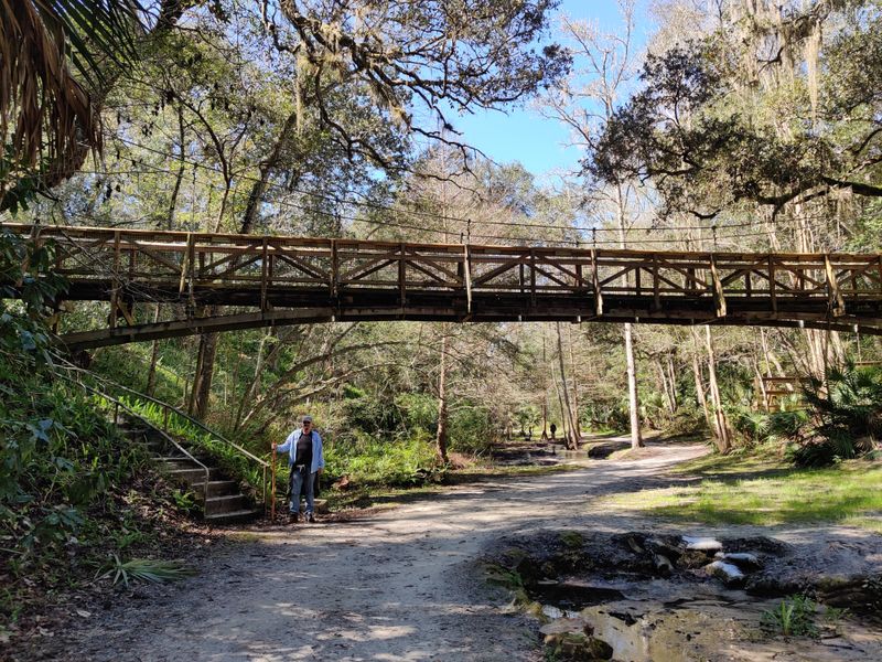 Spring-fed Creek Whispers