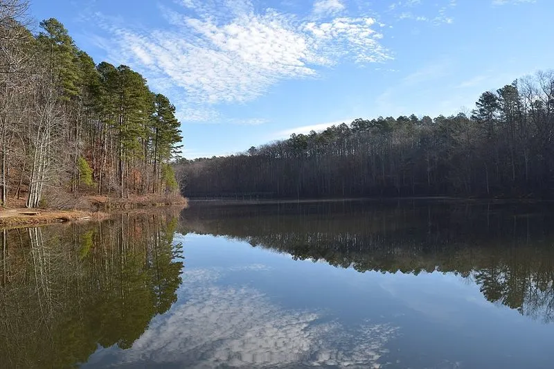 A Photographer&rsquo;s Dream