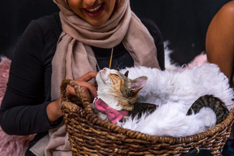 Birthday Purrty: Celebrations With Whiskers and Polaroids