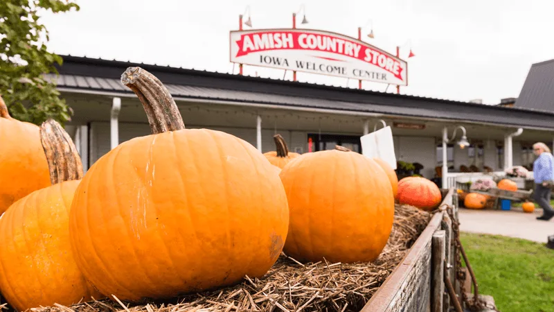 Seasonal decor and porch-perfect finds