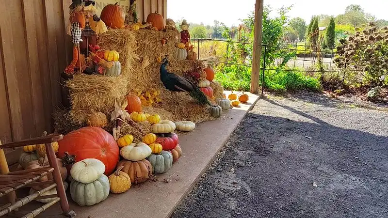 Gift shop, extras, and final tips