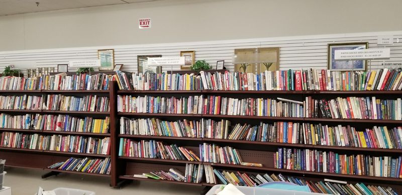 Books, media, and hidden collectibles