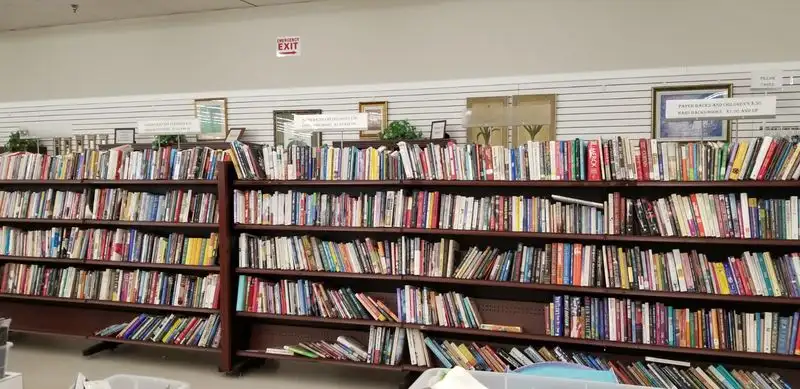 Books, media, and hidden collectibles