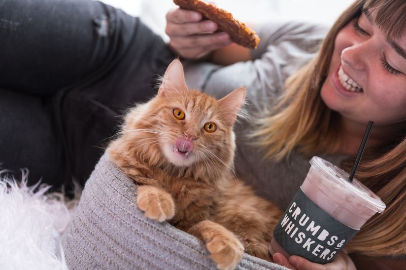 Tiny Personalities: Meet the Room&rsquo;s Scene-Stealers