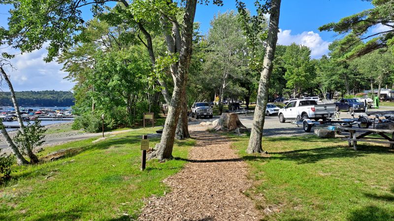 Scenic Pullouts on Route 507: Windows Down, Views On