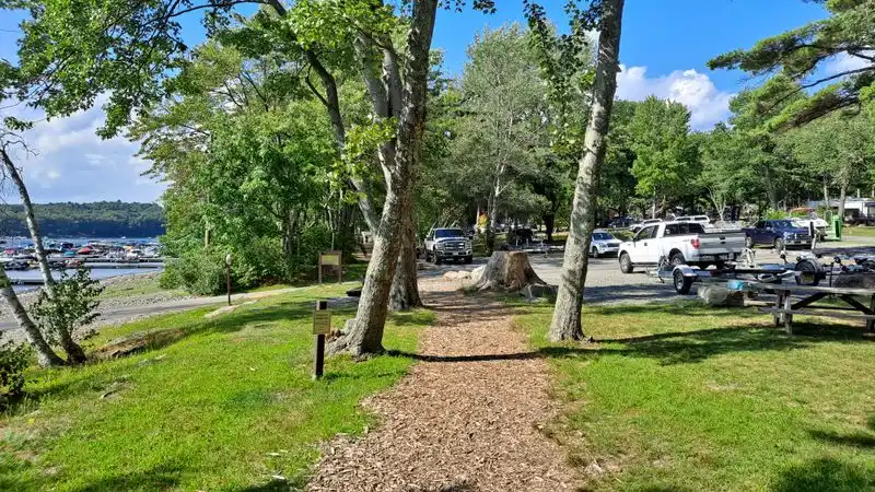 Scenic Pullouts on Route 507: Windows Down, Views On