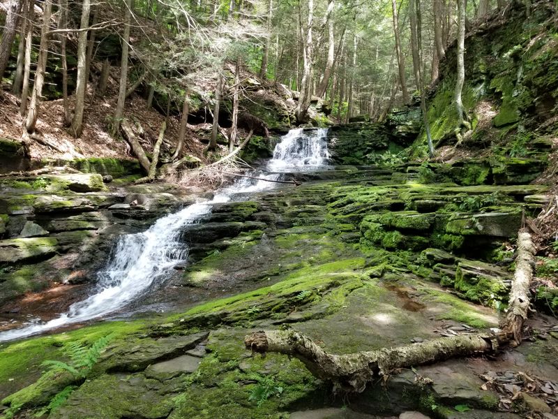 Hiking at Prompton State Park nearby