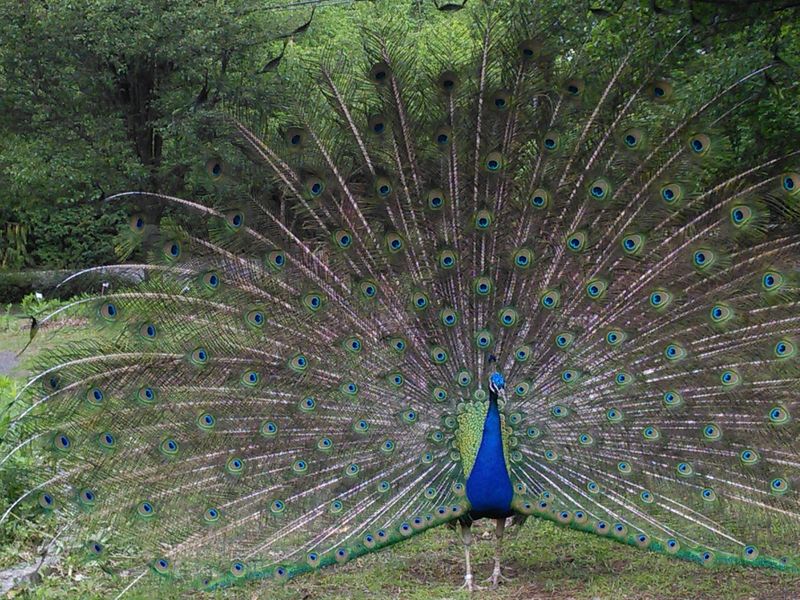 Connecticut – Beardsley Zoo – Bridgeport