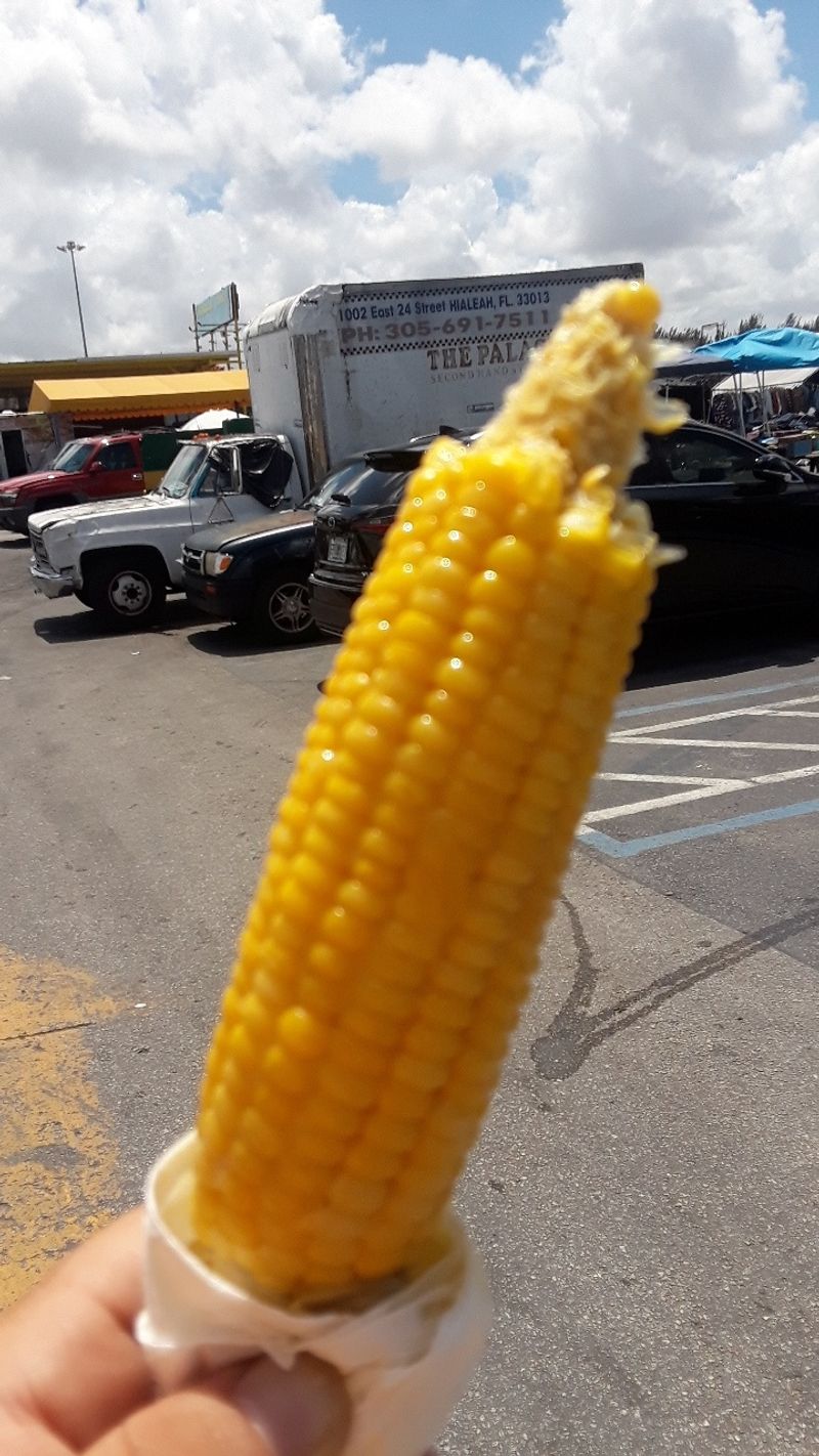 Live Entertainment And Family Zones