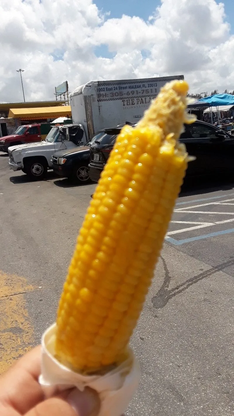 Live Entertainment And Family Zones