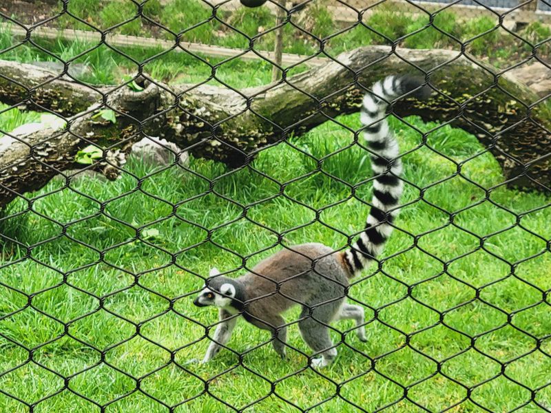 Delaware – Brandywine Zoo – Wilmington