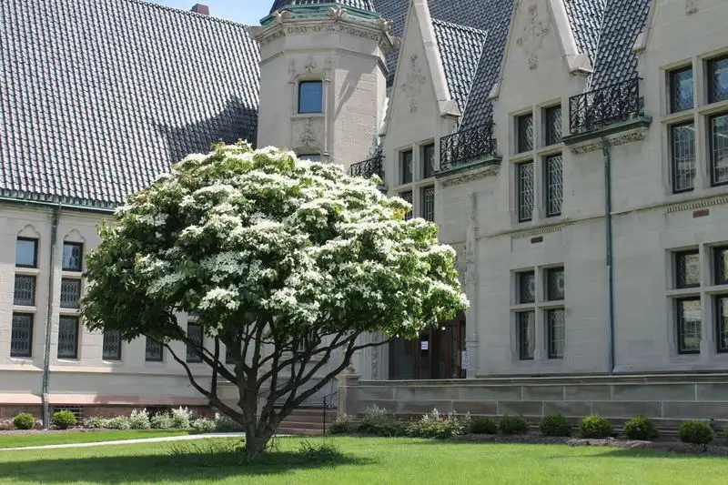 Scranton Public Library