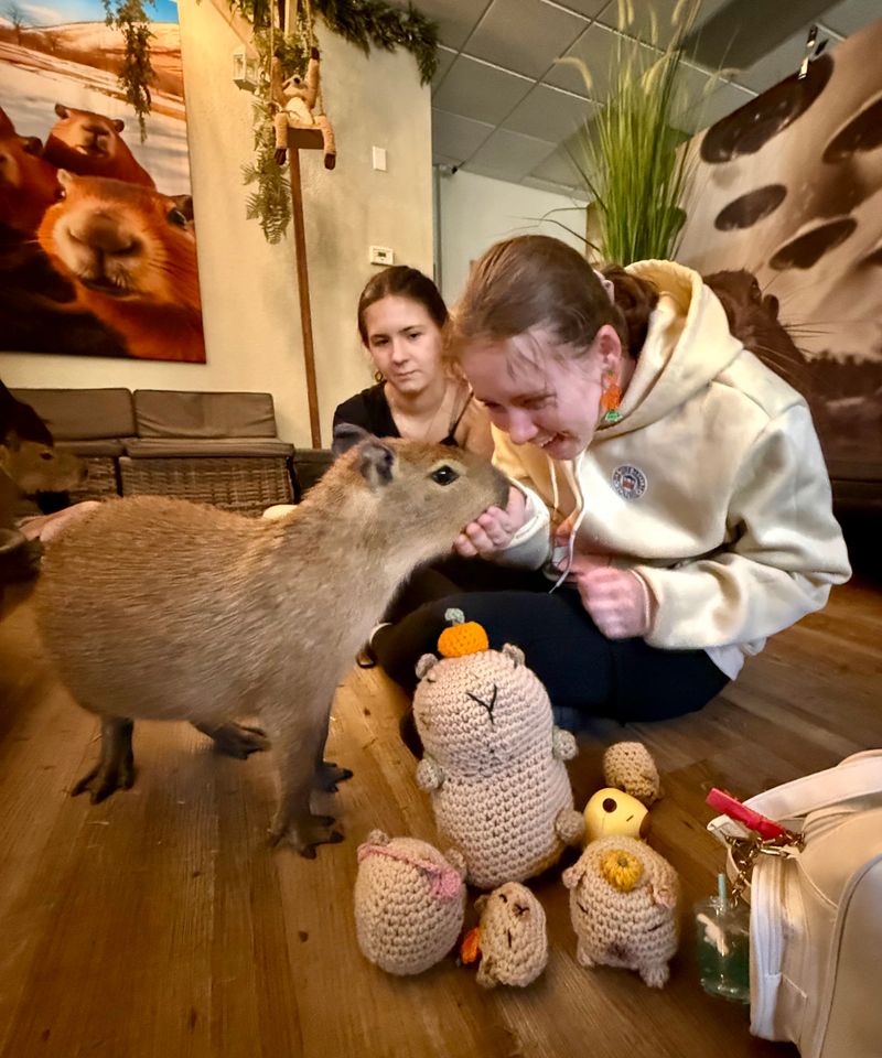 Insider etiquette: getting the most animal time