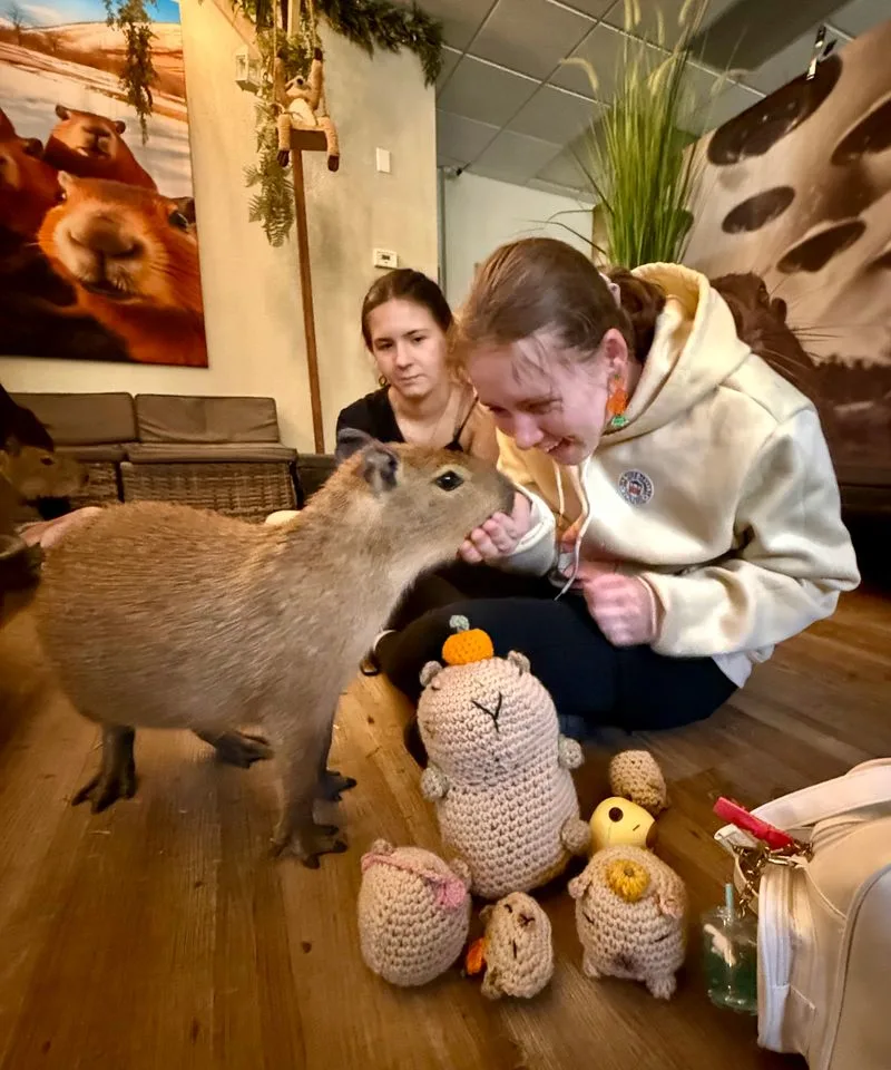 Insider etiquette: getting the most animal time