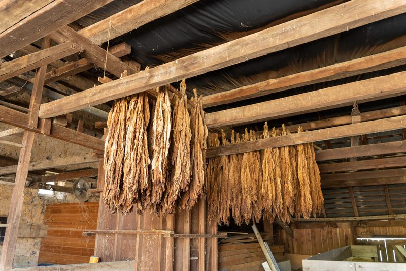 Hands On Craft Demonstrations