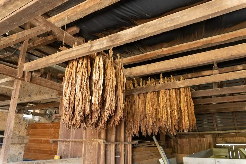 Hands On Craft Demonstrations