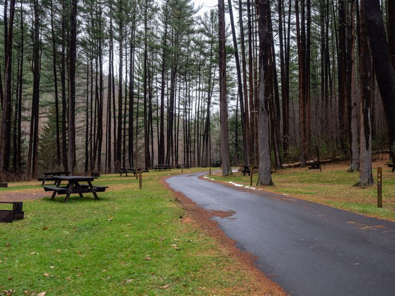Little Pine State Park &mdash; Waterville, PA