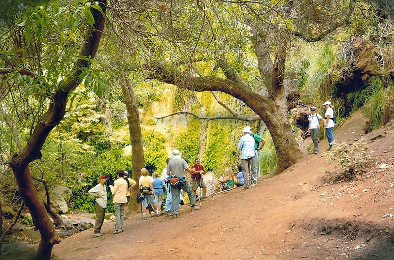 Crowds, Etiquette, and Preserving the Canyon