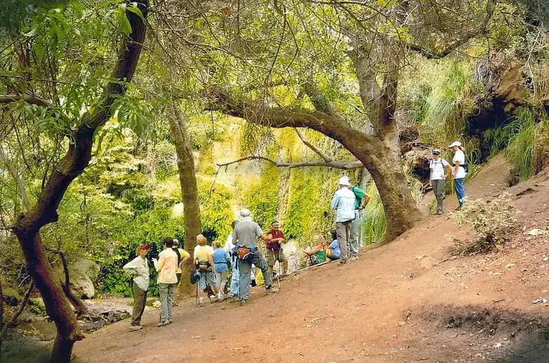 Crowds, Etiquette, and Preserving the Canyon