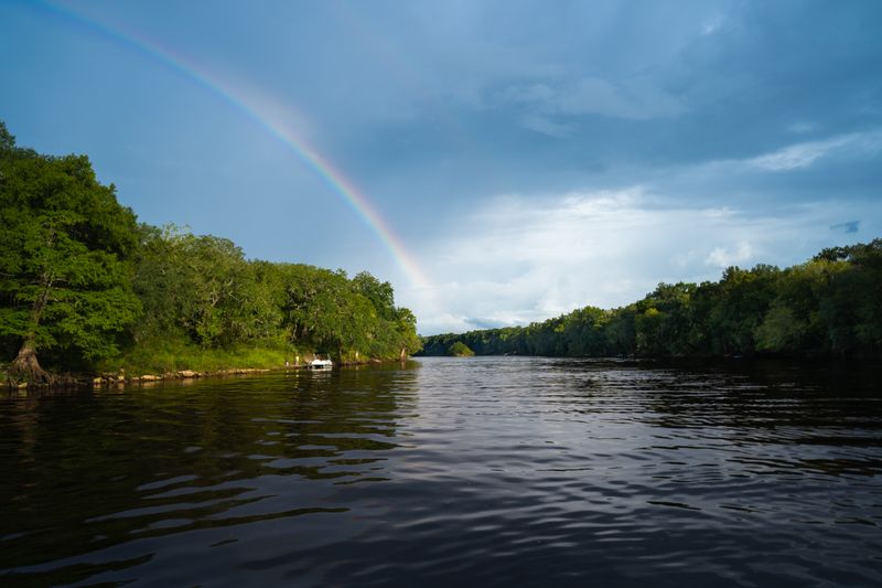 The Suwannee River: A Timeless Beauty