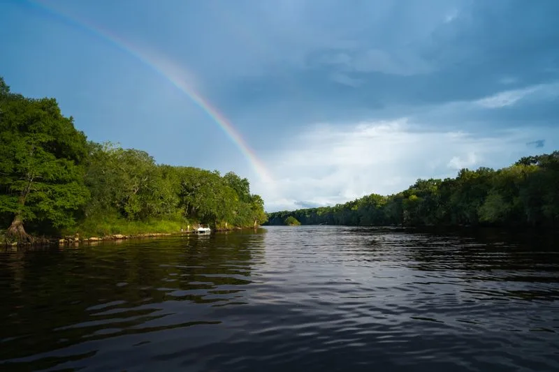 The Suwannee River: A Timeless Beauty