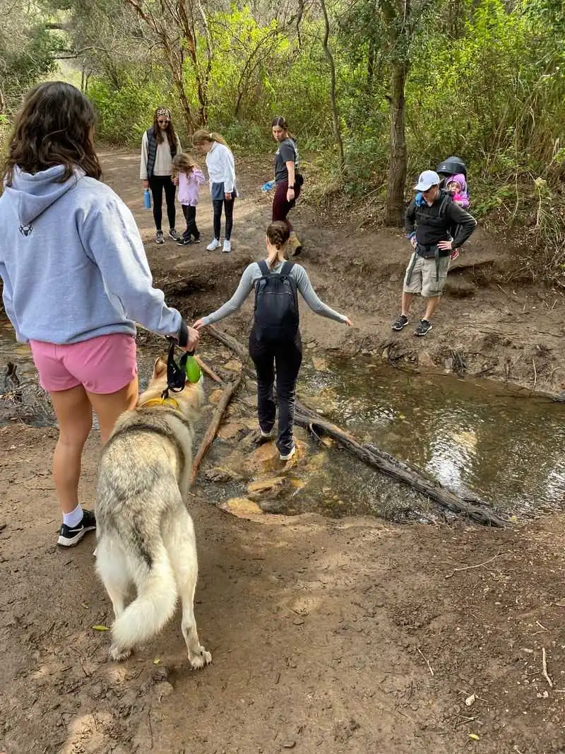 Family Friendly Game Plan