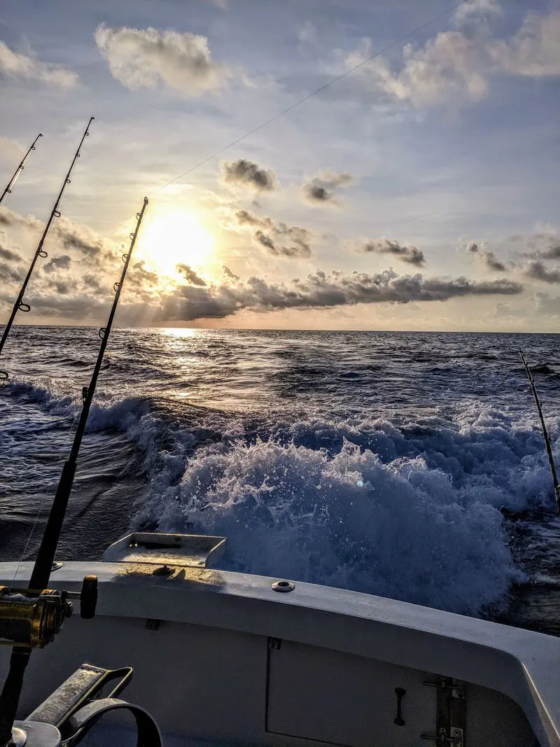Go Deep Sea or Backcountry Fishing with a Local Charter