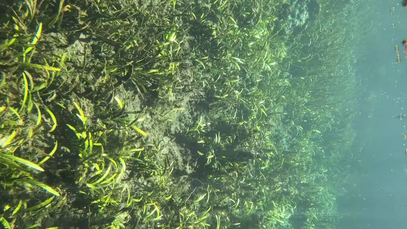 A Historical Perspective