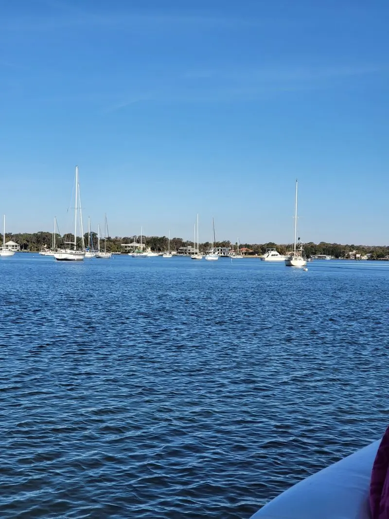 Scalloping Season: Saltwater Hide and Seek