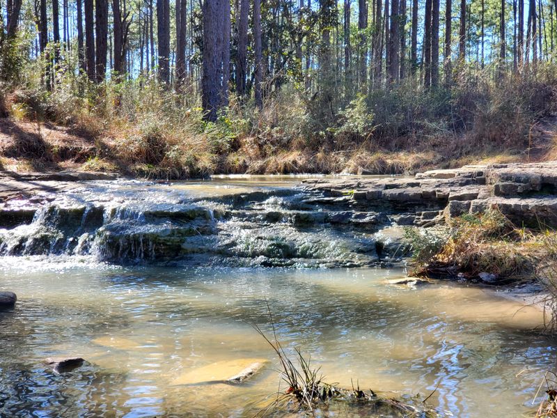 Kisatchie Bayou Cascades &mdash; Kisatchie National Forest, Louisiana