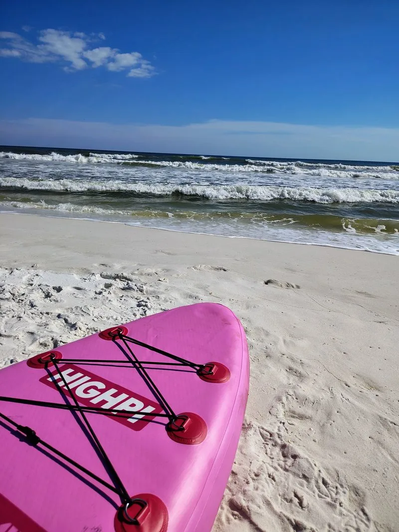 Snorkeling and paddleboarding around the reef sites