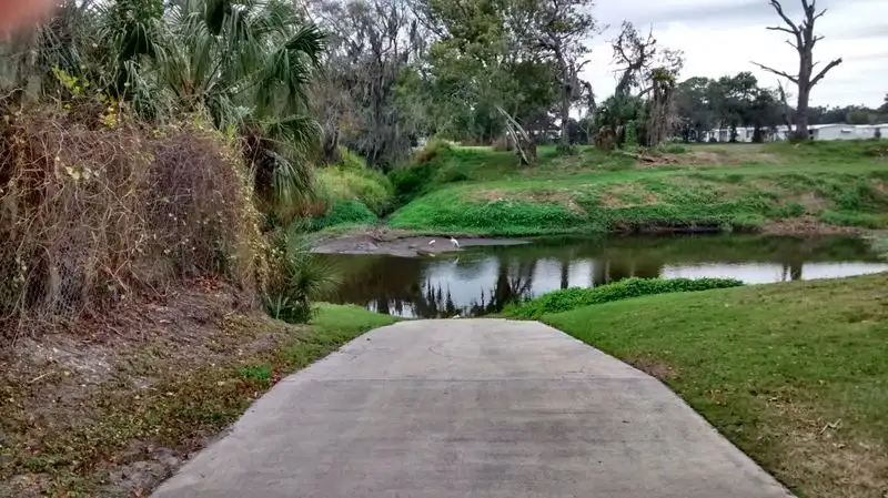 Pinecraft Park: slow afternoons under swaying palms