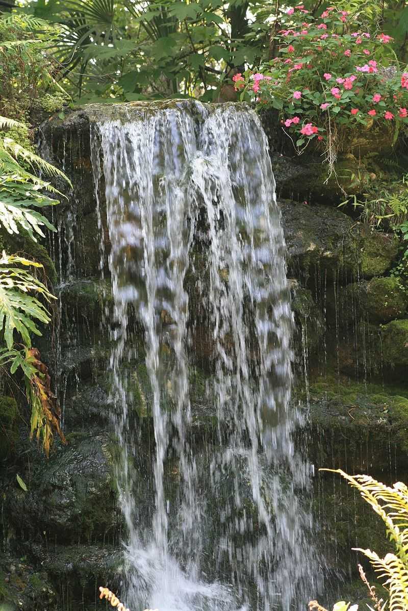 Rainbow Springs Waterfall &mdash; Rainbow Springs State Park