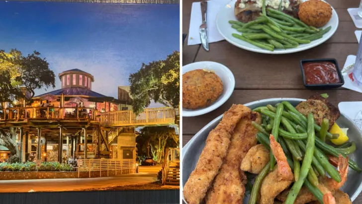 Dine among the branches at this whimsical treehouse bar and restaurant in Florida