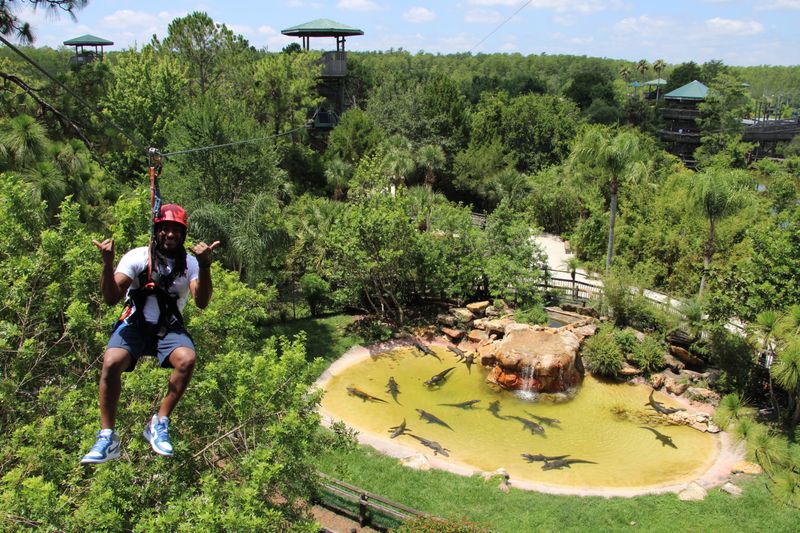 Planning Tips and Best Times