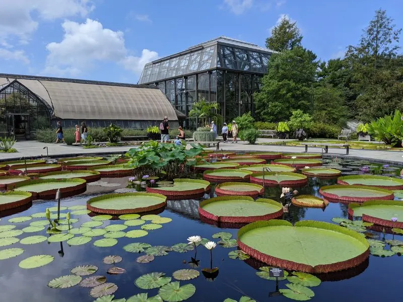 Planning Your Visit: Hours, Tickets, and Tips