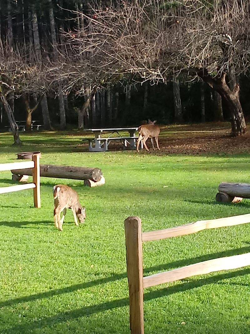 Tides, Wildlife, and What To Watch For