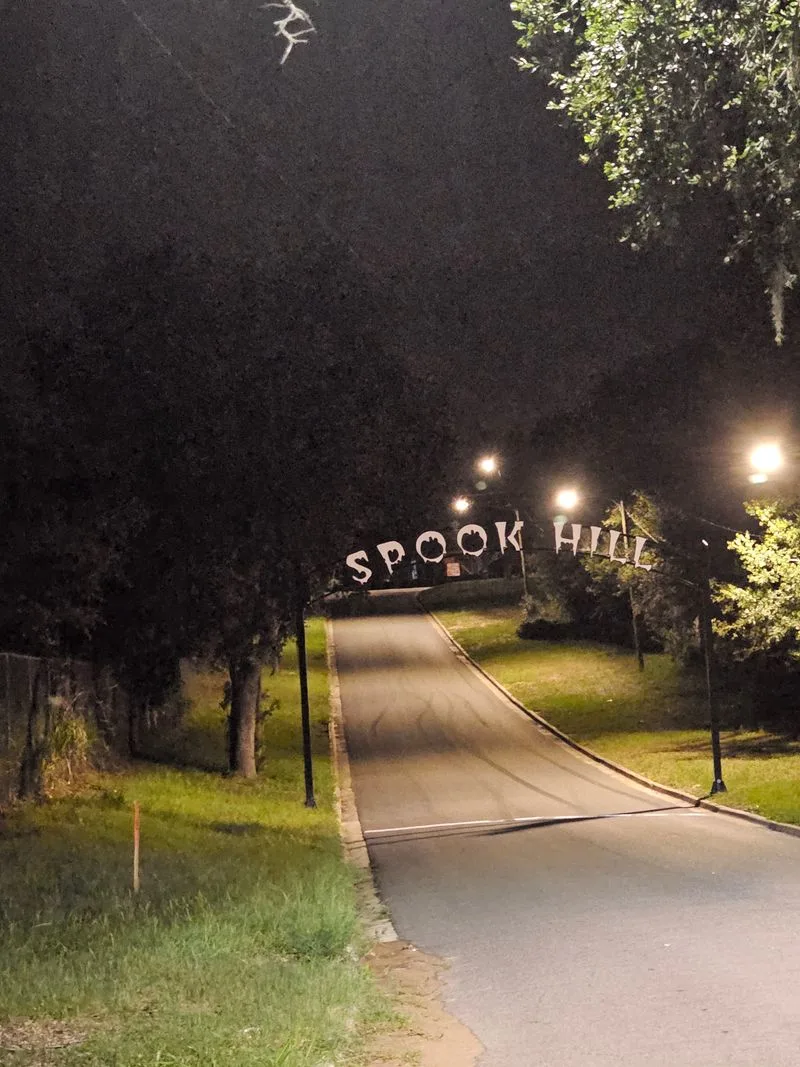 What your brain thinks it sees