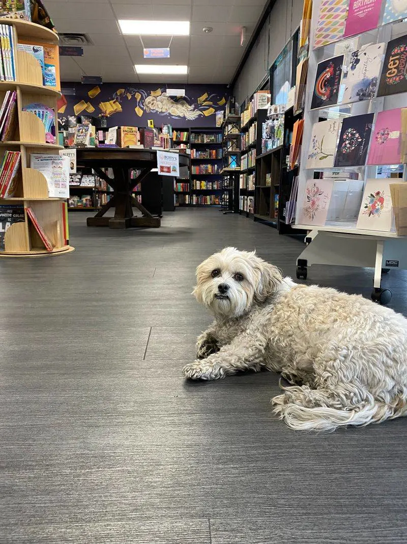 Buffy’s Book Boutique (Las Vegas)