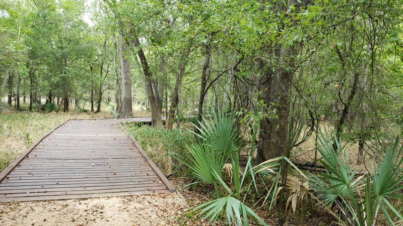 Ottine Swamp Trails
