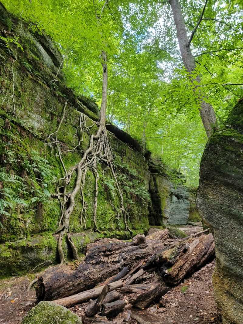 Nelson-Kennedy Ledges State Park (Nelson Township)